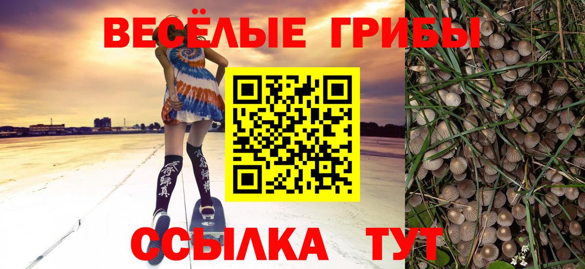 Сегежа  Псилоцибиновые грибы MAGIC MUSHROOMS  Вход с VPN 